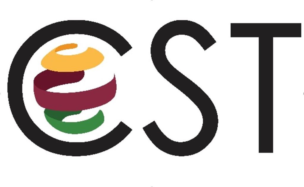 cst software cst software